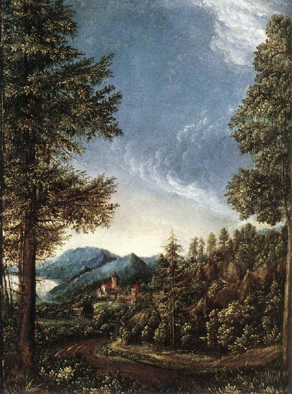 ALTDORFER, Albrecht Danubian Landscape g Germany oil painting art